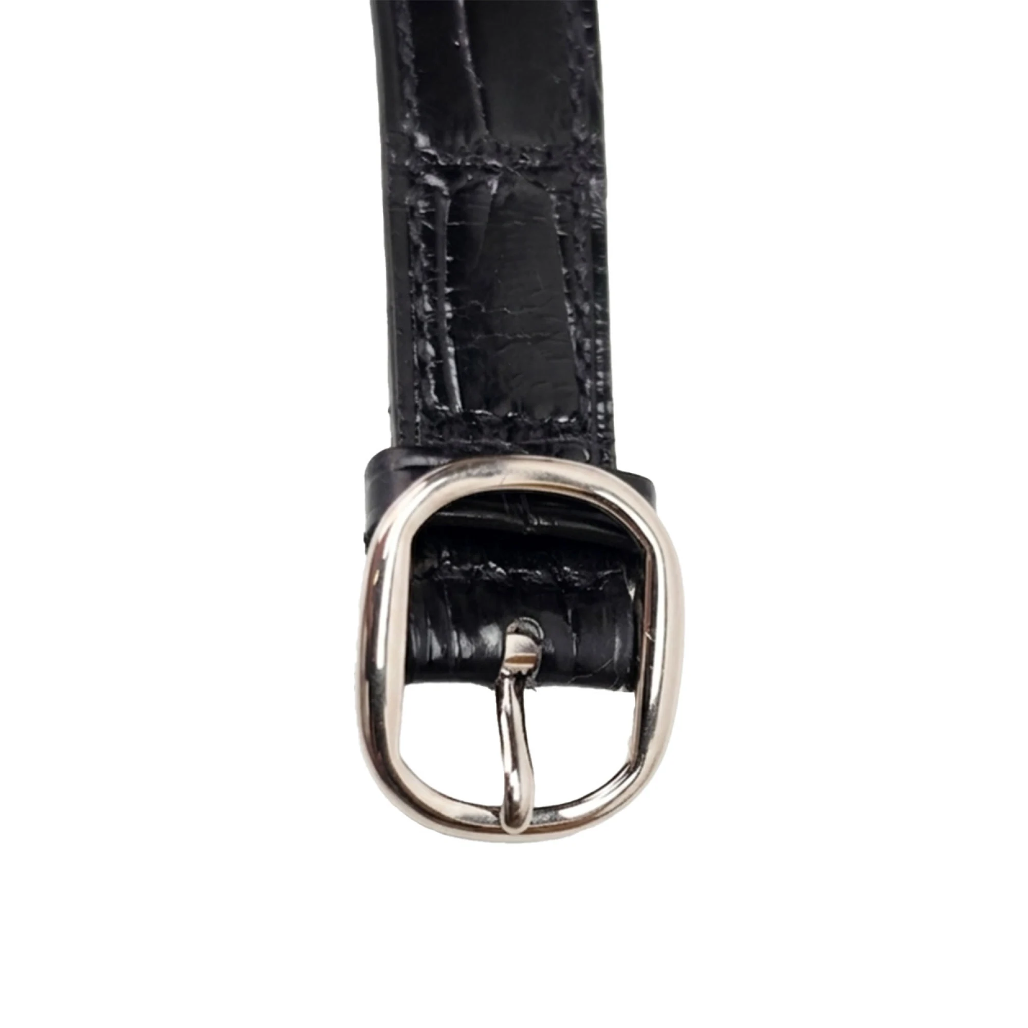 Patek Philippe Calatrava Iraqi Coat of Arms 4222 — фото 4