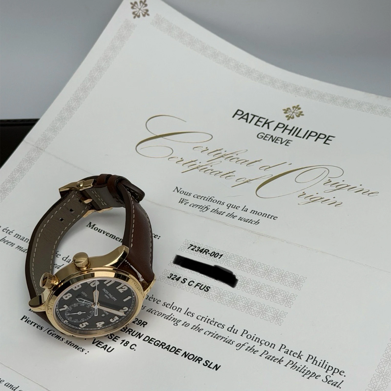 Patek Philippe Calatrava Iraqi Coat of Arms 7234R-001 — gallery view 6